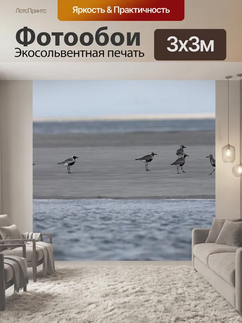 Фотообои Зуйки серебряные