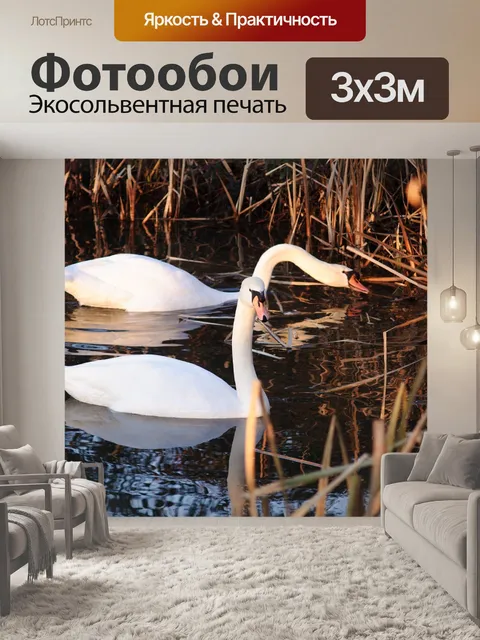 Фотообои Лебеди