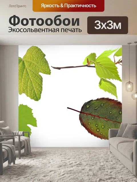 Фотообои Фон