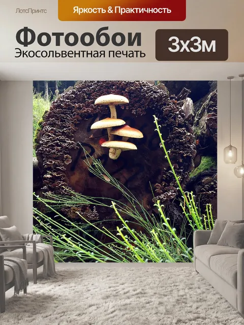 Фотообои Грибы