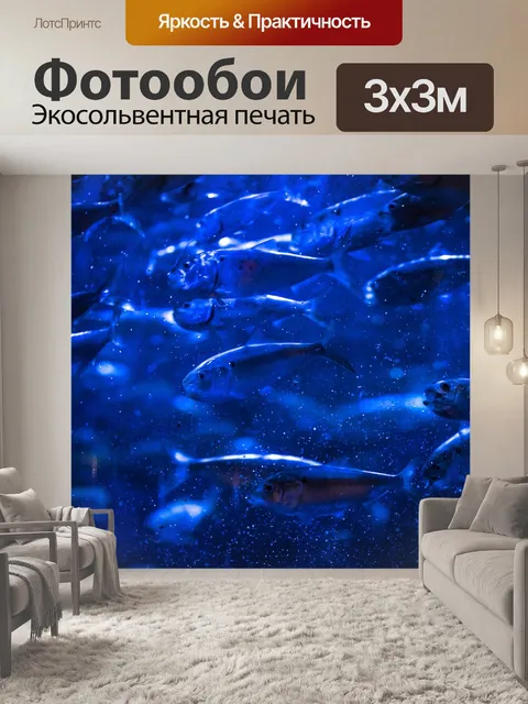 Фотообои Школа