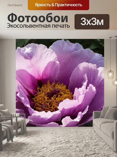 Фотообои Пион