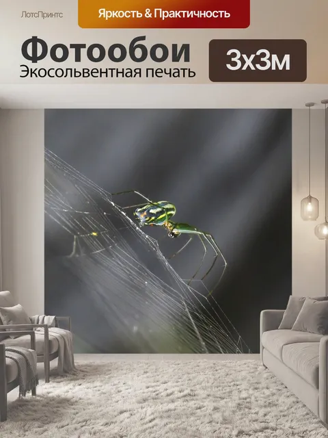 Фотообои Насекомое