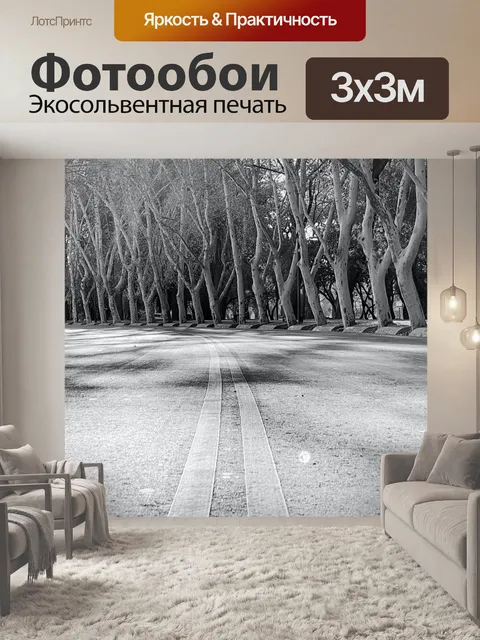 Фотообои Улица