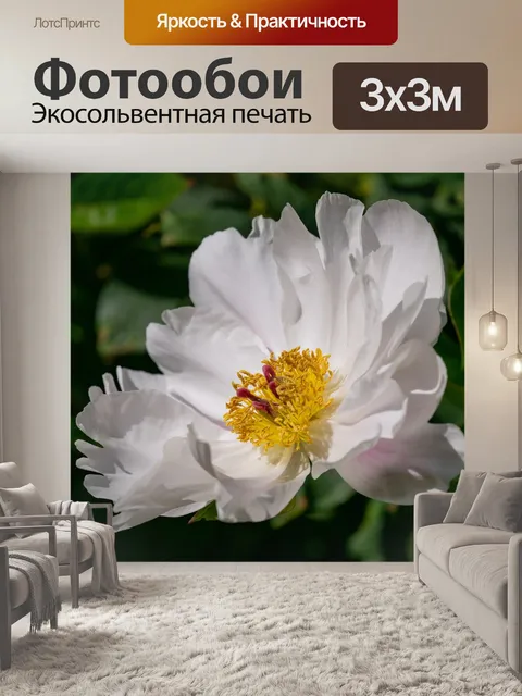 Фотообои Гибридный