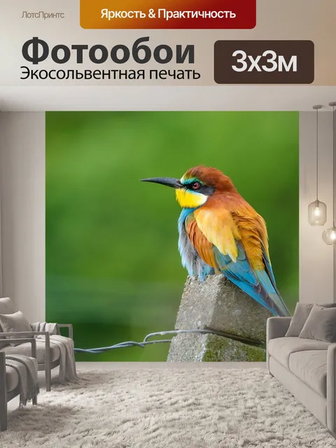 Фотообои Золотистая щурка