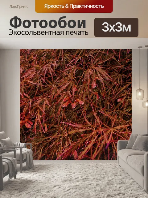 Фотообои Тихая осень