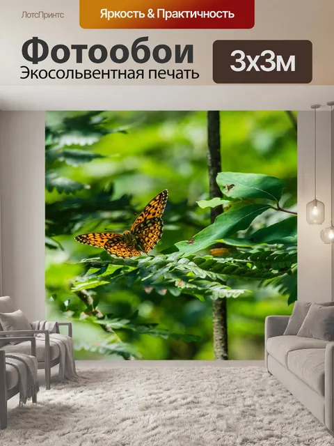 Фотообои Бабочка