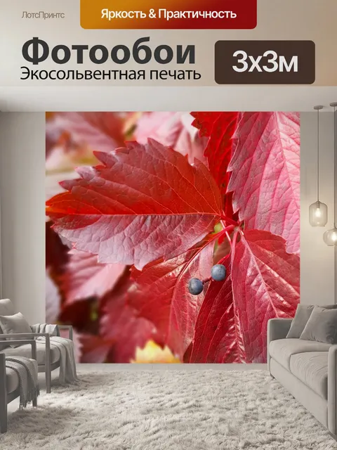Фотообои Красочные осенние листья