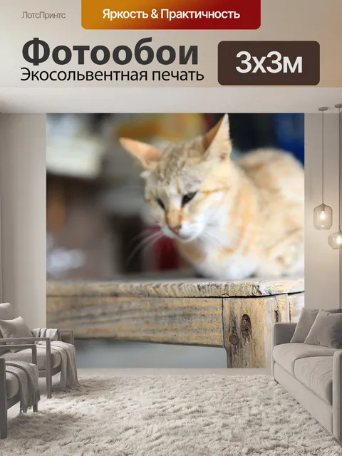 Фотообои Кошка