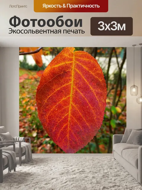 Фотообои Лист