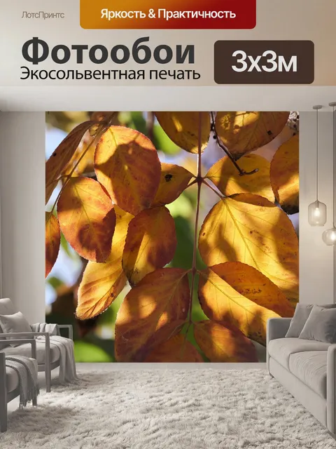 Фотообои Осенние листья