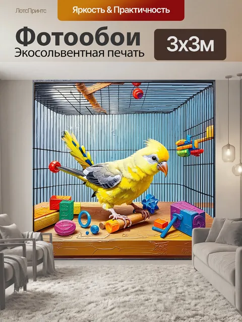 Фотообои изображение, показывающее кореллу, играющую с яркими игрушками в своем клетке