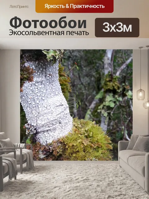 Фотообои Дерево