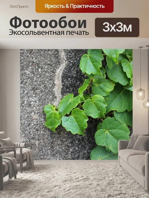 Фотообои Вьюнок