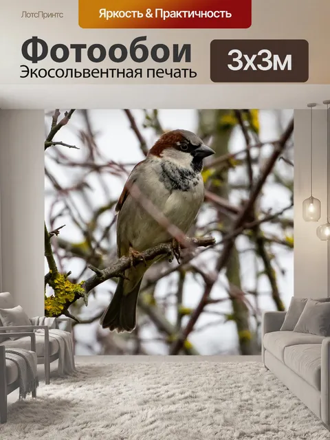 Фотообои Воробей