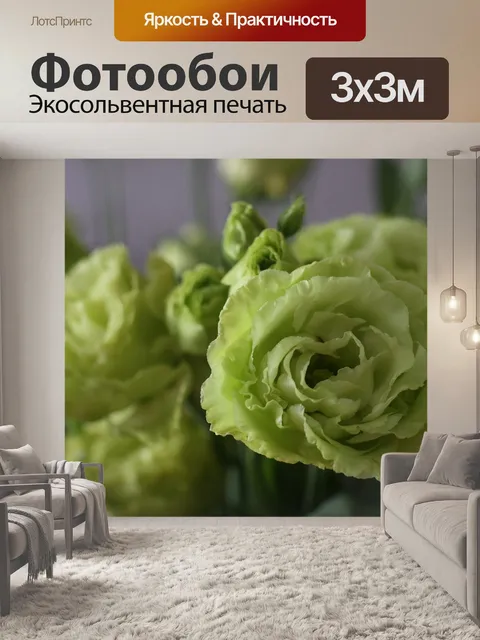 Фотообои Цветы