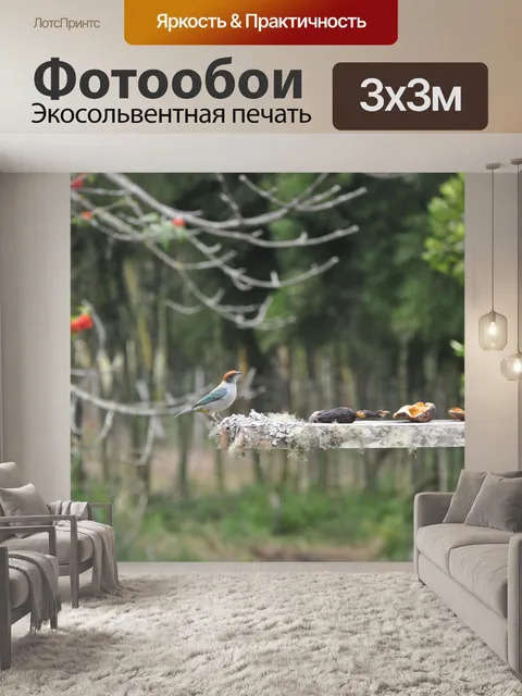 Фотообои Птица