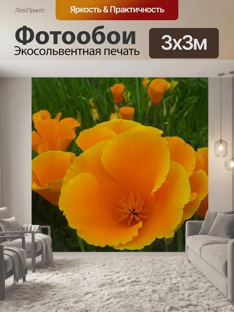 Фотообои Мак