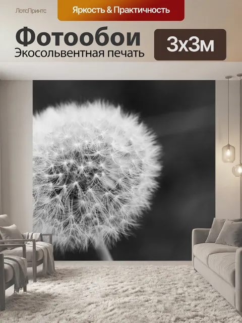 Фотообои Одуванчик