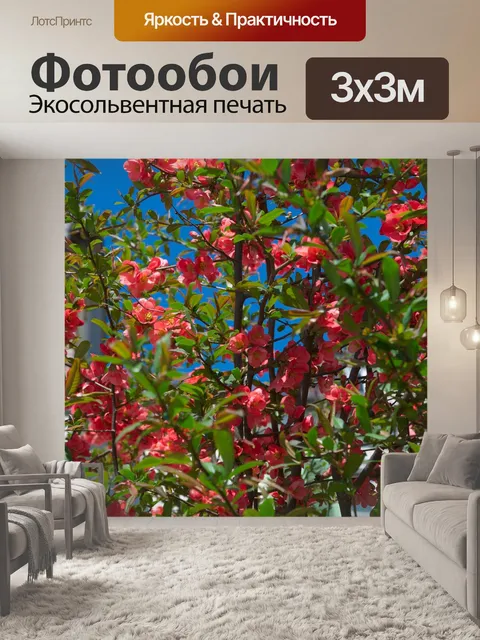 Фотообои Сад