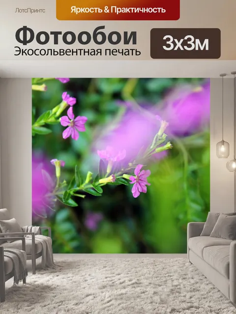 Фотообои фиолетовых цветов фона