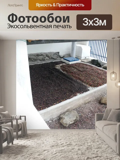 Фотообои Галапагосские кофе урожая