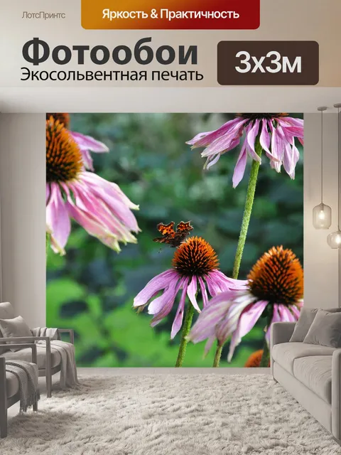Фотообои Цветы