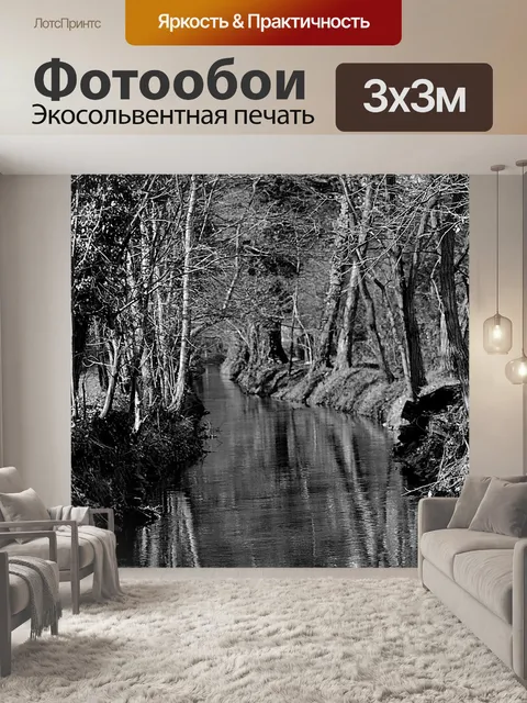 Фотообои Лес