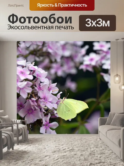Фотообои Бабочка
