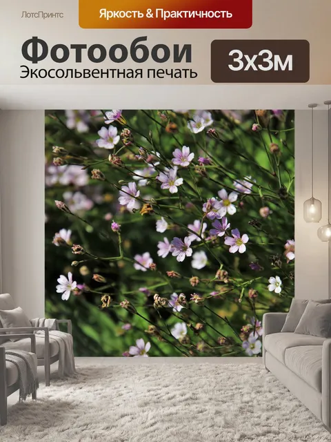 Фотообои Минор