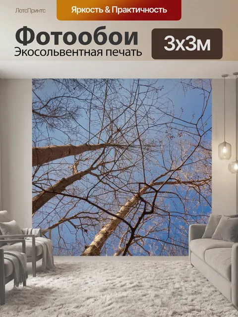 Фотообои деревья
