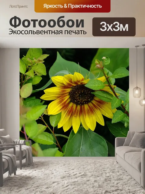 Фотообои Сад