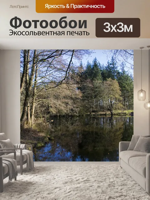 Фотообои Деревья