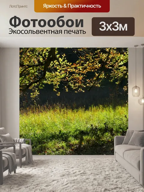 Фотообои Пейзаж