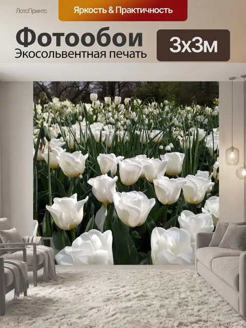 Фотообои Цветы
