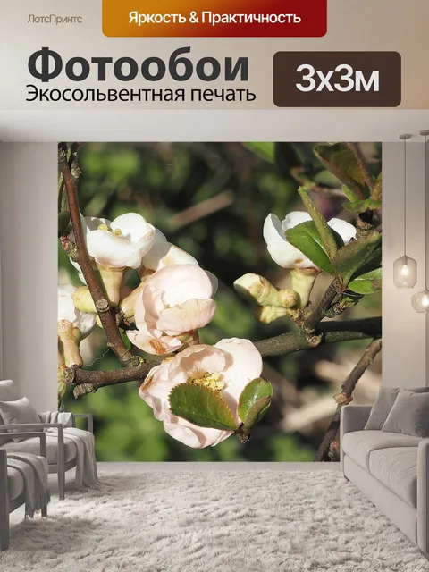 Фотообои Весна