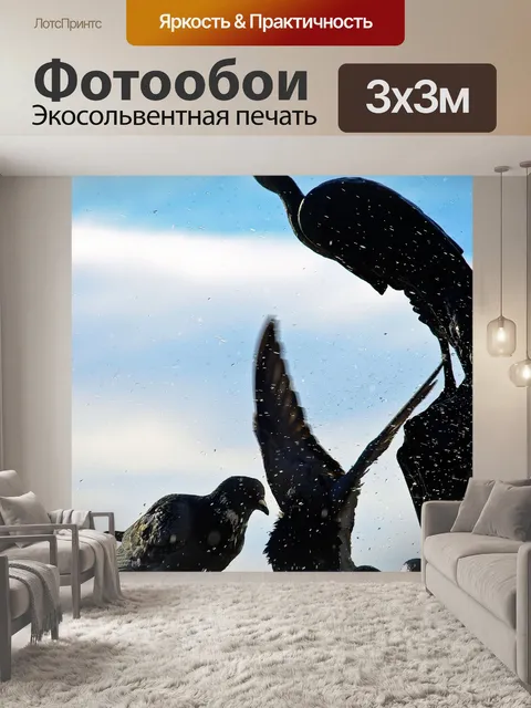 Фотообои Голуби