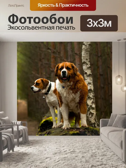 Фотообои Собака