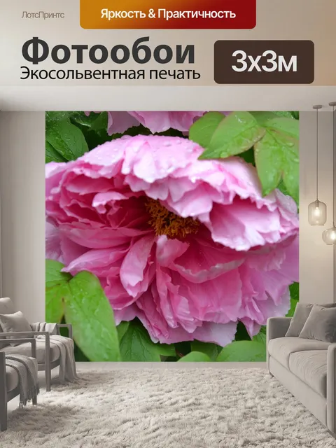 Фотообои Пион