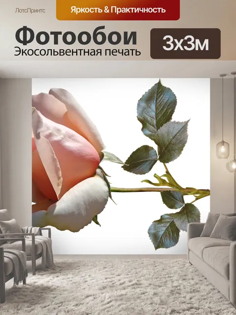 Фотообои Цветок