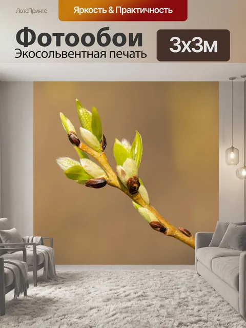 Фотообои Кошки