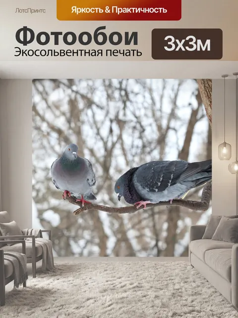 Фотообои Зима