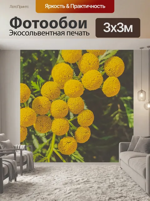 Фотообои Цветы пижмы