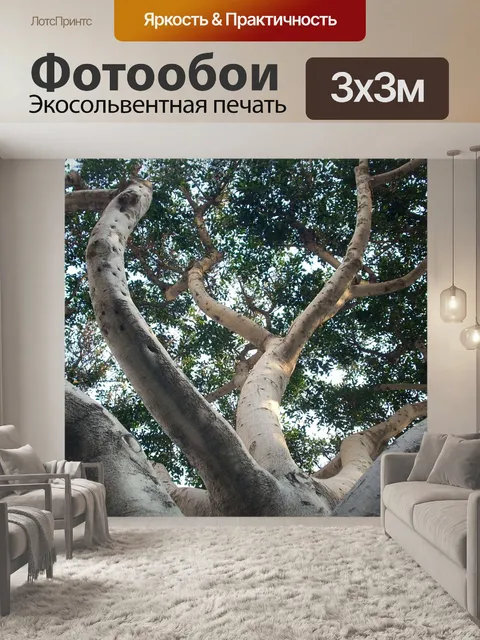 Фотообои Дерево