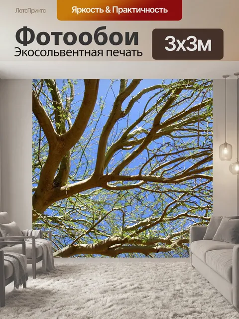 Фотообои Дерево