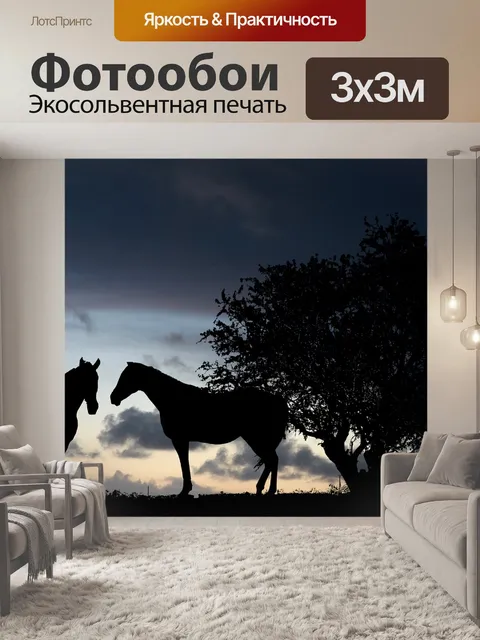 Фотообои Заход солнца