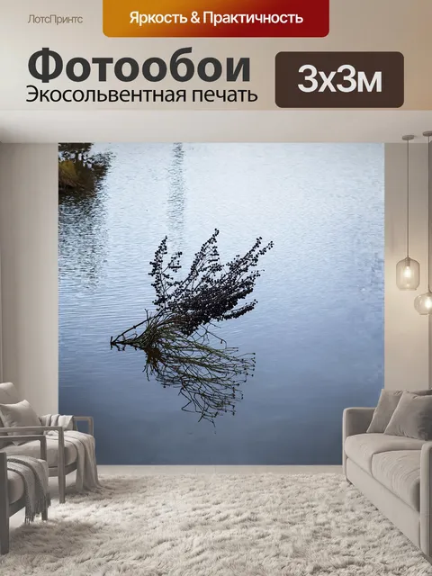 Фотообои самбук черный, растущий у реки, его ветви склоняются над водой, создавая отражения в тихой глади поверхности