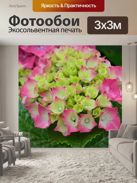 Фотообои Цветы