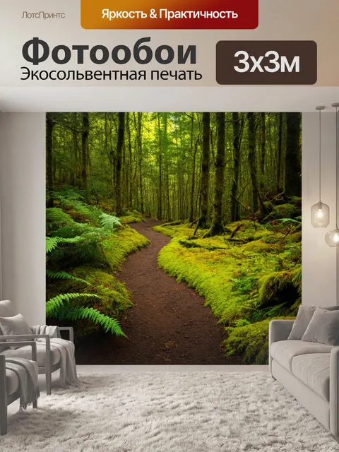 Фотообои лес с тропой, идущей через мох и папоротники, создавая атмосферу уединения